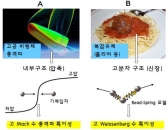 충격파의 수학적 특이성 규명