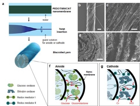 섬유형태의 고성능 생체연료전지 개발