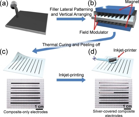 신축성 전자 소자 개발 새 가능성 제시