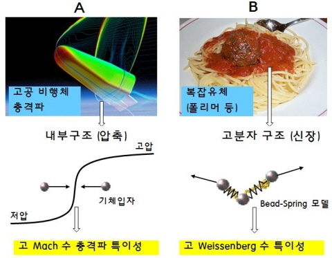 충격파의 수학적 특이성 규명