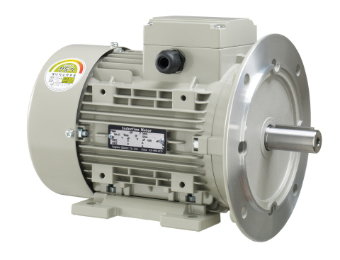 정우전기, 삼상모터 Horizontal-Vertical[B35] E2 Type