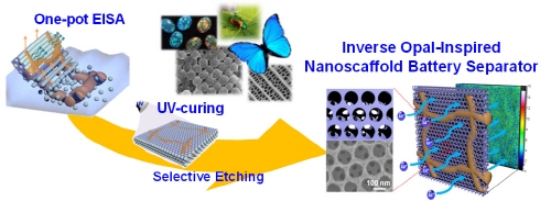 전지 성능 및 안전성 향상 분리막 원천 기술 확보