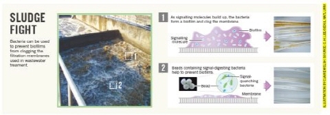 세계최초 미생물 이용해 분리막 오염 예방 기술 개발