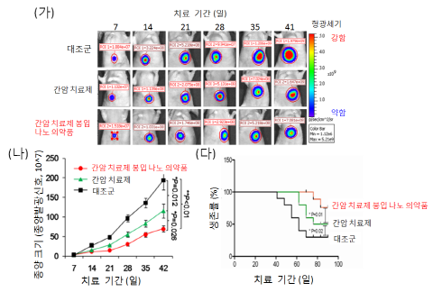 나노미사일 개발, 획기적 간암치료 가능성 제시