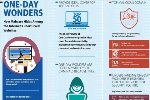 블루코트, ‘원데이 웹사이트 보안 위협 분석 보고서’ 발표