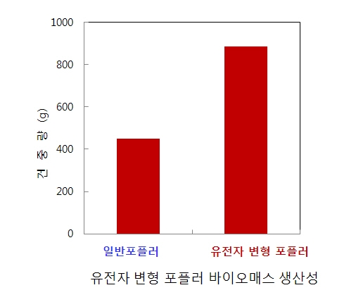 목질계 바이오 연료 전 세계적 관심