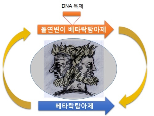 세균 변신 유도하는 짧은 DNA 스위치 규명