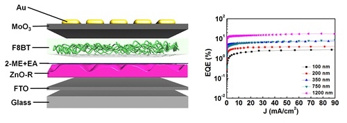 조명과 디스플레이용 고효율 유기발광소자 개발