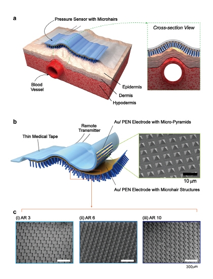 [TECH NEWS] 심혈관 질환 진단이 가능한 반창고 형태 소자 개발