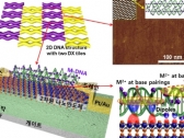 [TECH NEWS] DNA 나노구조물 이용 반도체 특성 향상기술 개발