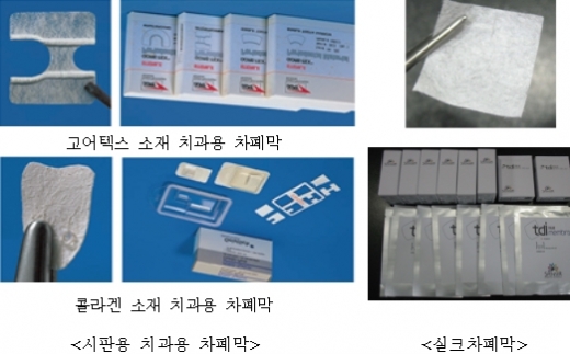 누에고치 이용 ‘치과용 실크차폐막’ 개발