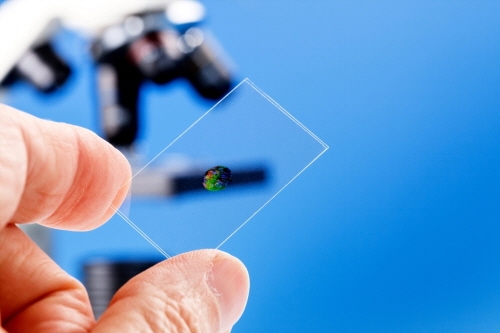 국내 바이오산업 생산규모 7.5조 원