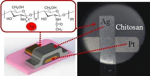 게 껍질서 추출한 키토산으로 메모리 소자 구현