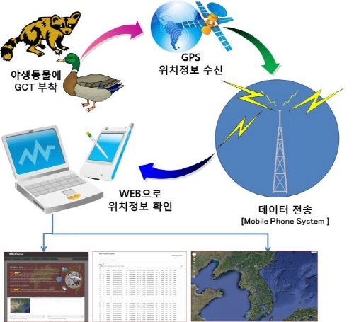 세계에서 가장 가벼운 위치추적장치 개발