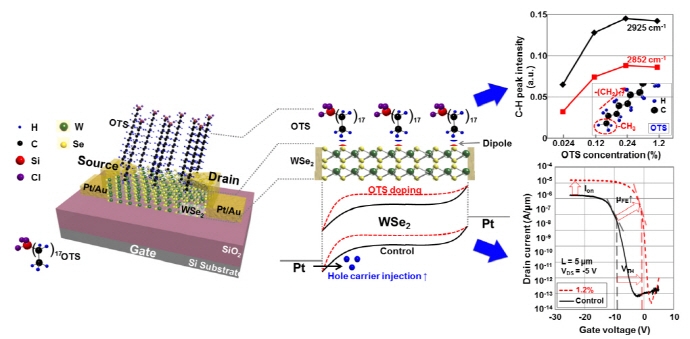 2차원 전자소자 성능 극대화 기술 개발
