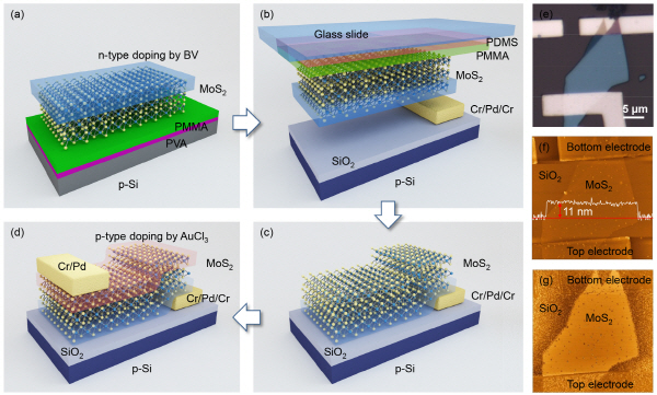 [TECH NEWS]세계 최초 초박막 반도체 개발