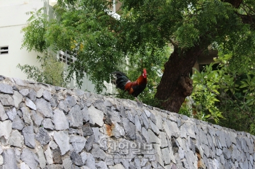 산업다아라가 내게 선물한 파타야 “너 참 멋있다”
