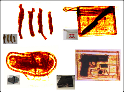 식품속 연질성 이물질 잡는 기술 개발