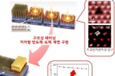 [Tech News]카멜레온 신소재로 2차원 반도체 혁신