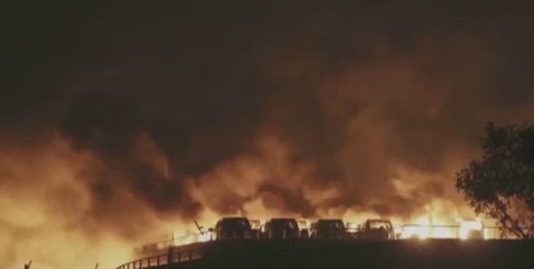 텐진항 유독물질 유출, 한국 물류업체 업무 중단