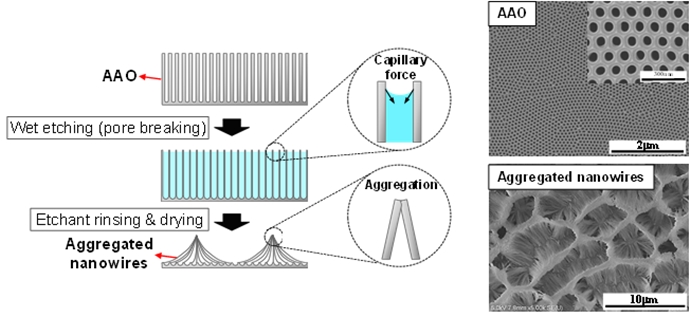 붙이는 것만으로 태양전지 효율 높이는 필름 개발