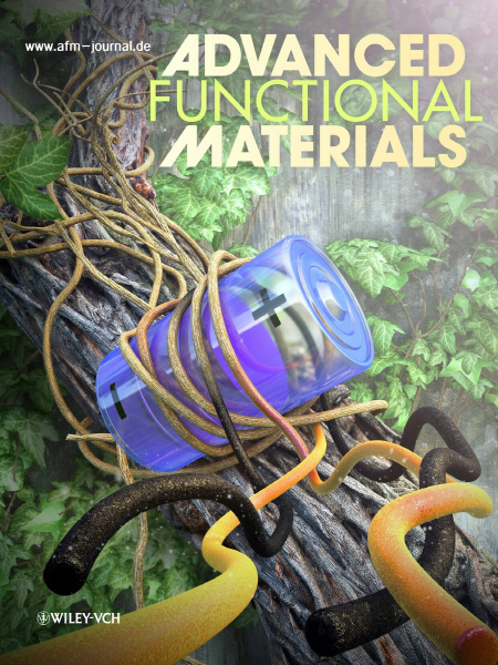 나무 이용한 차세대 종이배터리 개발