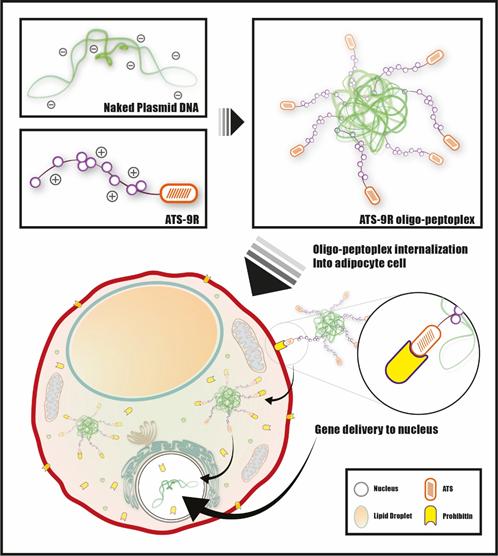 “연구는 re-search, 끊임없이 찾고 또 찾아야”