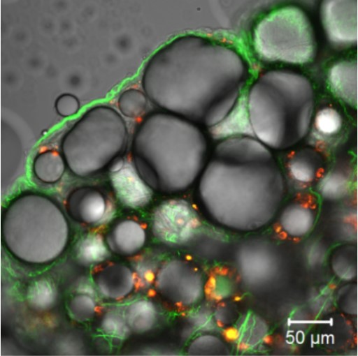 “연구는 re-search, 끊임없이 찾고 또 찾아야”