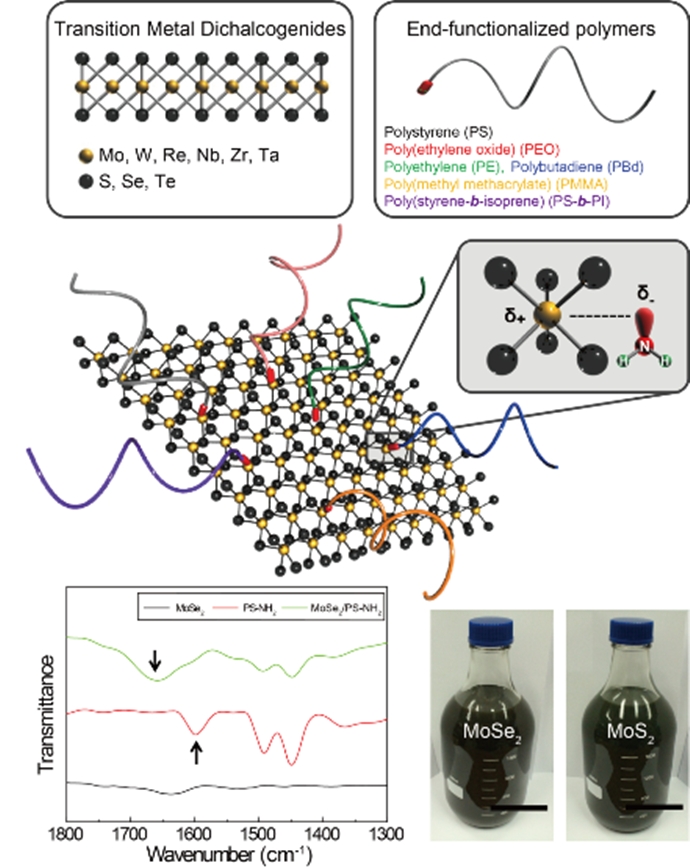 [Technical News]고감도 유연 광센서 플랫폼 기술 개발