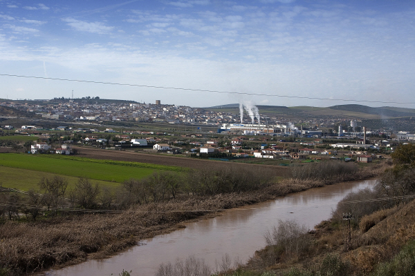아파트 오피스텔 이어 토지도 부동산 실거래가 공개