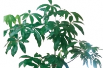 [신년사] “산업다아라, 잘 가꿔보겠습니다”