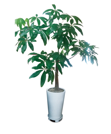 [신년사] “산업다아라, 잘 가꿔보겠습니다”