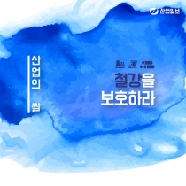 [카드뉴스] ‘산업의 쌀’ 철강을 보호하라