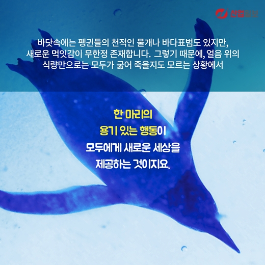 [카드뉴스] 한국제조업 '퍼스트 펭귄'이 돼라