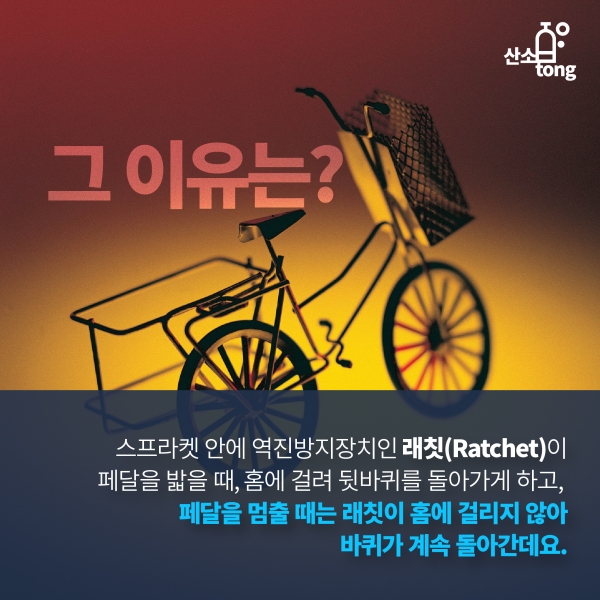 [카드뉴스] 자전거를 굴리는 힘 '스프라켓'