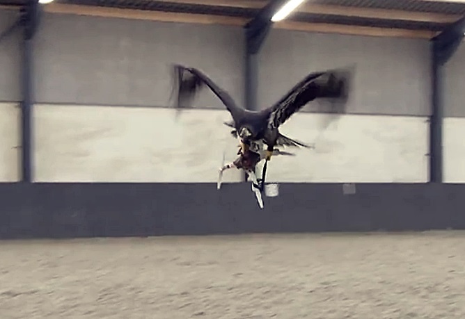 자연과 현대 문명의 싸움, ‘독수리의 불법 드론 사냥’