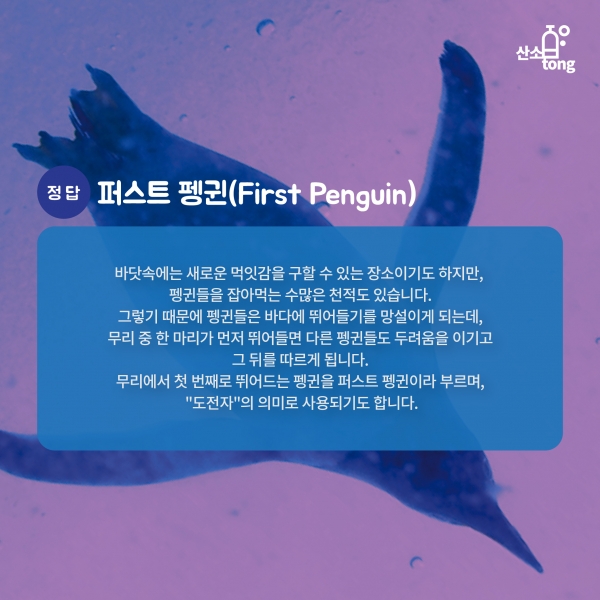 [산업지식퀴즈] 2월 2주차 문제