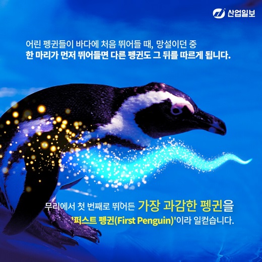 [카드뉴스] 한국제조업 '퍼스트 펭귄'이 돼라