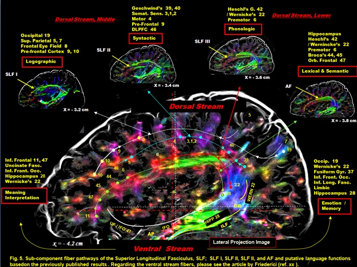 [김현지 기자의 아웃사이더] “묻지마 연구해야 한국 경제 산다”③