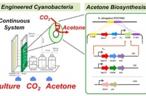 이산화탄소에서 아세톤 생산 기술 최초 개발