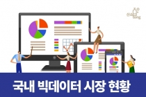[인포그래픽뉴스] 국내 빅데이터 시장 현황