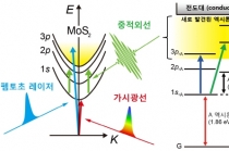 낮은 광변환 효율, 엑시톤 반입자로 인한 것 밝혀내