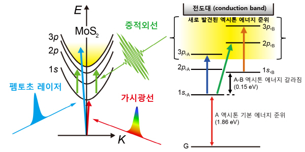 낮은 광변환 효율, 엑시톤 반입자로 인한 것 밝혀내