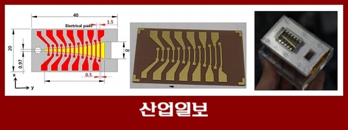 [사례로 알아보는 자연 모사 기술] ① 생체모사 나노융합기술 분야