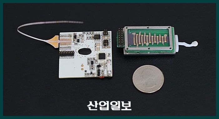 [사례로 알아보는 자연 모사 기술] ① 생체모사 나노융합기술 분야