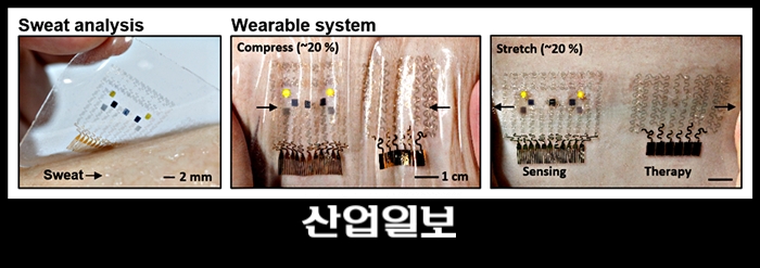 그래핀 복합체 활용, 전자피부 구현