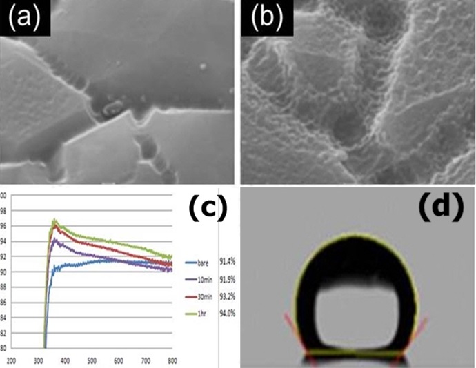 [Machine] 기계와 자연의 만남 ‘나노 자연 모사’