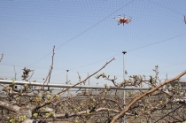 GPS 적용한 드론, 자동비행 방제