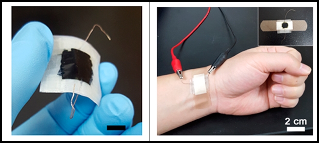 이온채널 센서 개발로 ‘기계, 전자’ 응용소자 활용 기대