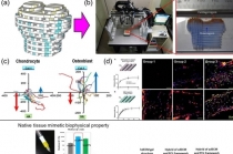 3D 바이오 프린팅 기술 개발 성공